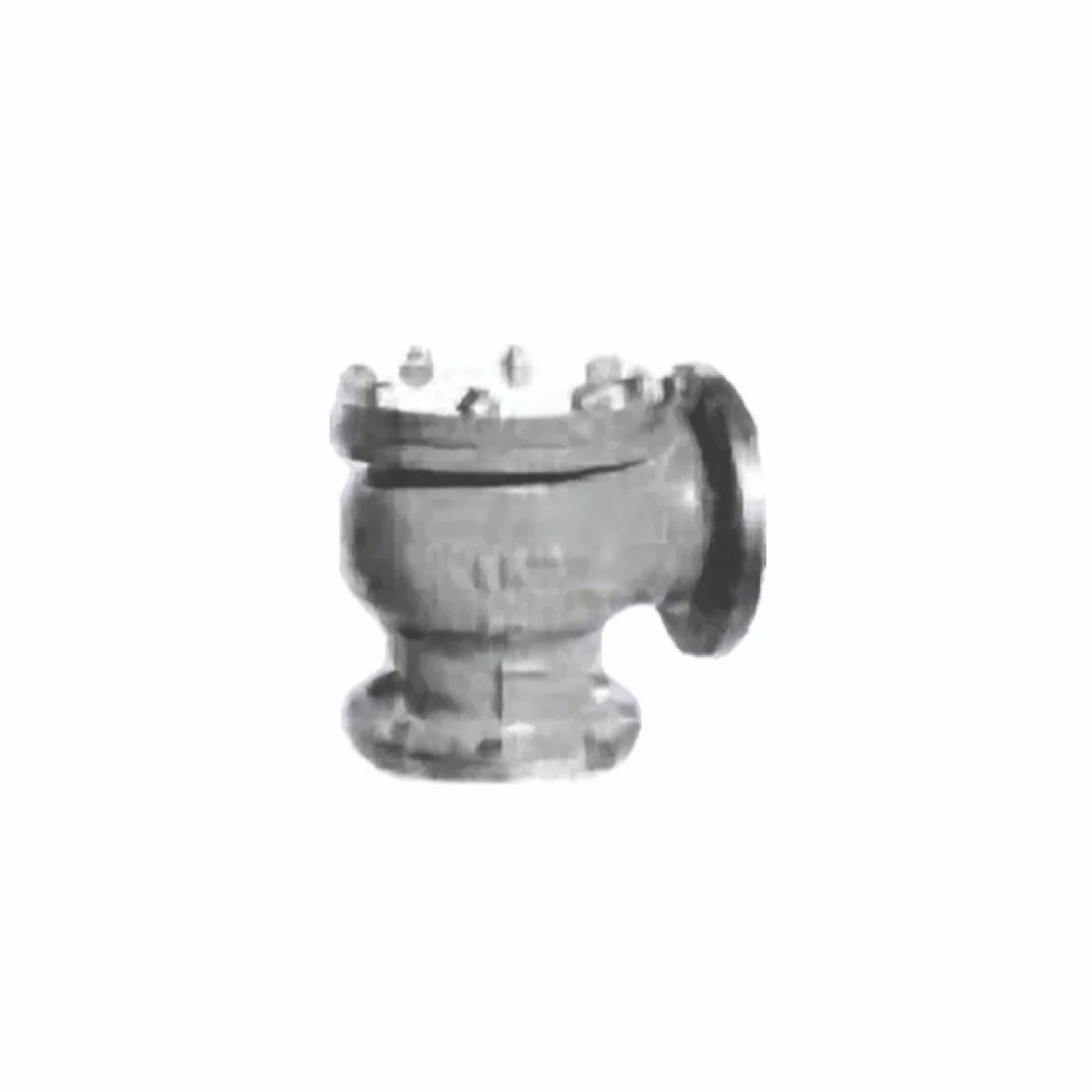 MARINE LIFT CHECK ANGLE VALVE  - Marine Valves showing detailed view with specifications and design features in realistic presentation